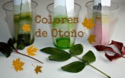 por que las hojas cambian de color en otono 1