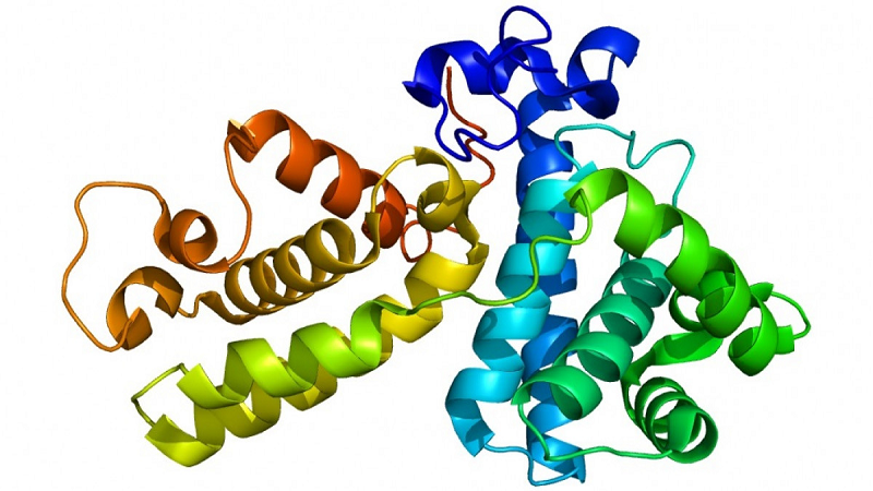 proteinas1