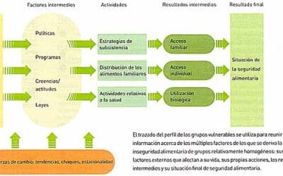 que es la epidemiologia nutricional la conexion entre dieta y salud