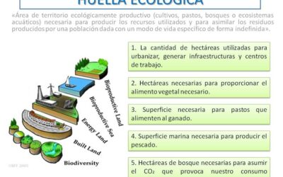 que es la huella ecologica y como calcularla midiendo nuestro impacto