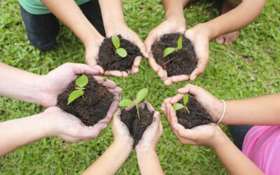 que es la ingenieria ecologica y como puede ayudar a la restauracion de ecosistemas reparando la naturaleza