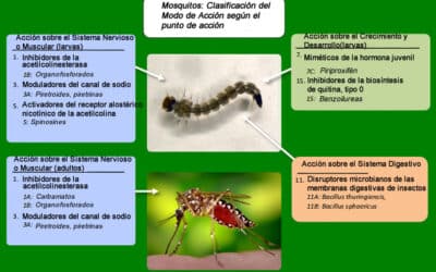 que es la resistencia a insecticidas y como se desarrolla la evolucion en accion