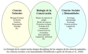 que ocurre cuando las especies endemicas se extinguen las perdidas irremplazables