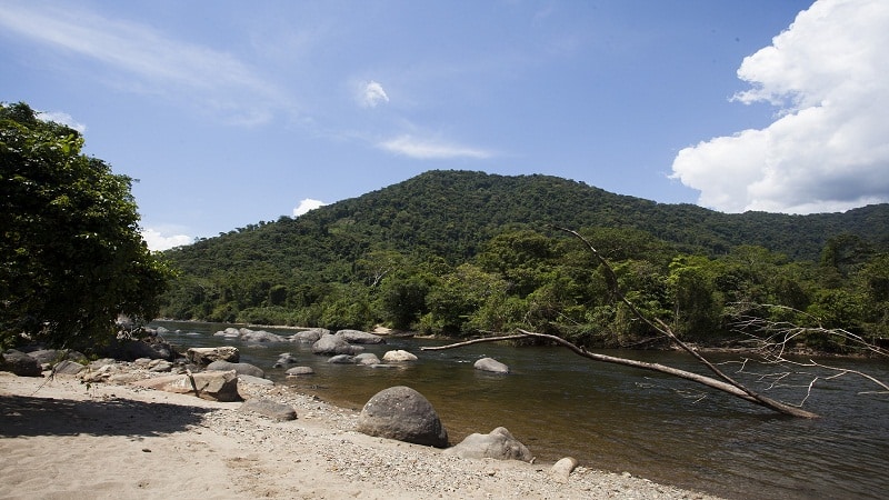 rio sano