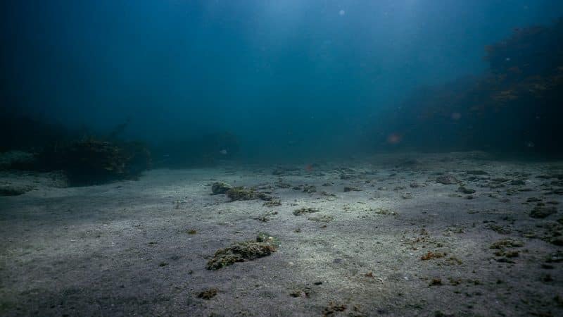 zonas muertas oceanicas1