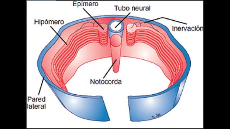 em 3