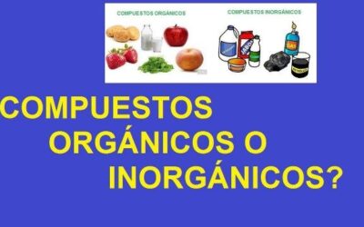 alimentos orgnicos e inorgnicos ejemplos y diferencias claras