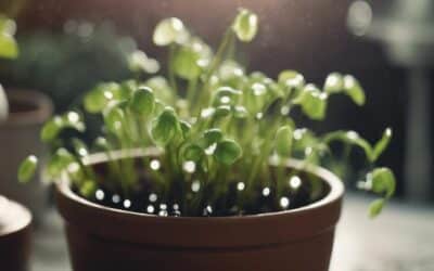 cuidado de planta delicada