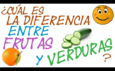 cul es la diferencia principal entre frutas y verduras