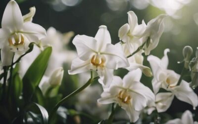 flores blancas jard n hermoso