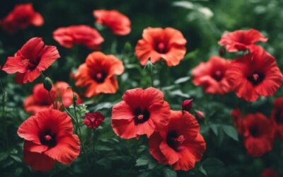 flores rojas hermosas plantas