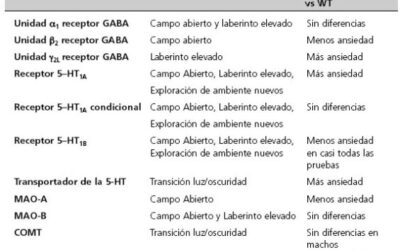 genotipo vs fenotipo 7 diferencias clave explicadas