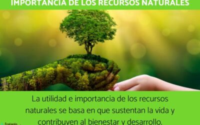 importancia de los recursos naturales esenciales para nuestra supervivencia