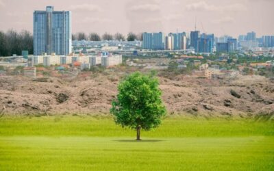 plan de contingencia ambiental definicin causas y ejemplo