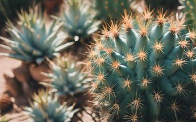 plantas espinosas con flores