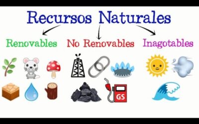 10 recursos naturales inagotables regalos infinitos de la naturaleza