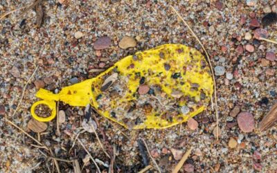 de qu material estn hechos los globos y cul es su impacto ambiental