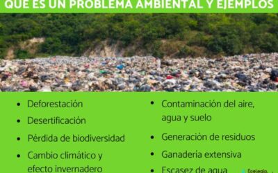 aspecto ambiental explicacin y ejemplos explicados